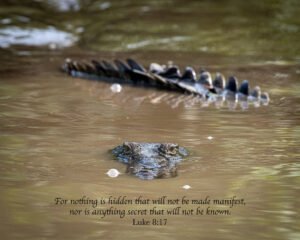 Luke 8:17
