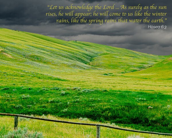 Hosea 6:3