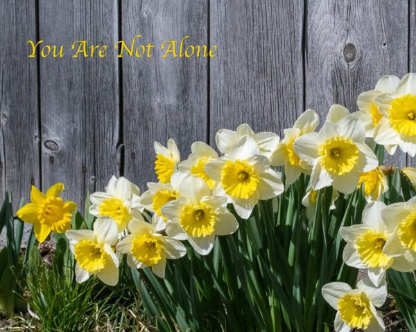 You Are Not Alone